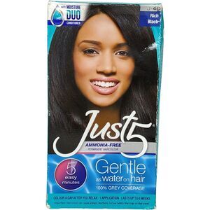 Just 5 Womens 5 Minute Permanent Hair Color Rich Black J-40